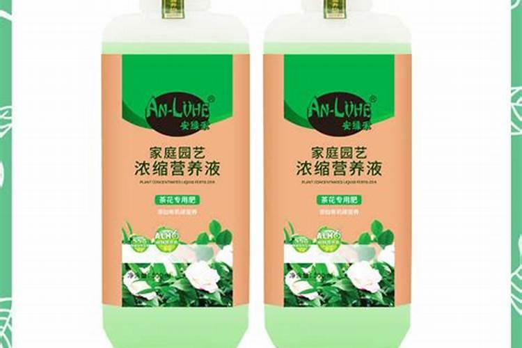 茉莉花怎么施肥施什么肥