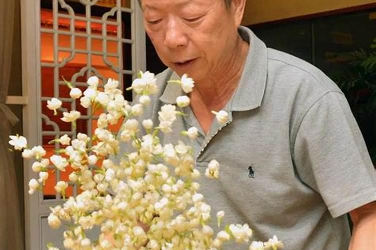 茉莉花怎么施肥施什么肥