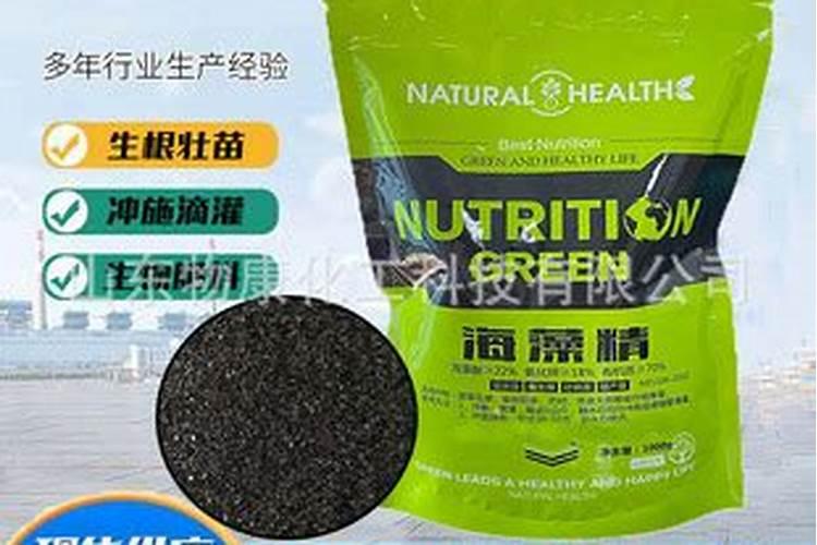 绿茄子浇海藻精肥料好吗