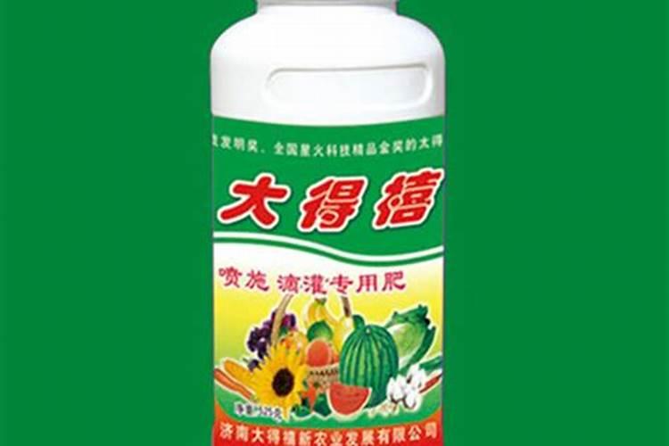 盆栽的香水百合叶片枯黄,到底是什么原因引起的？