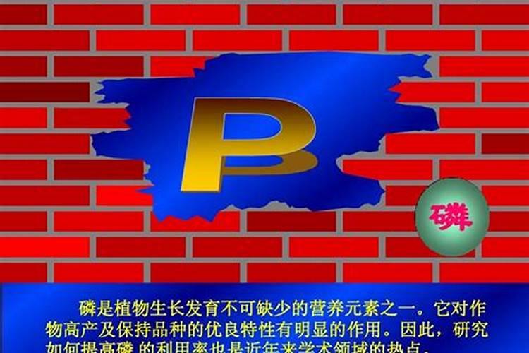 草莓苗种植多久能施肥 草莓苗什么时候施肥