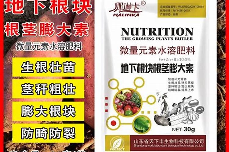 大蒜喷施什么蒜头最大？