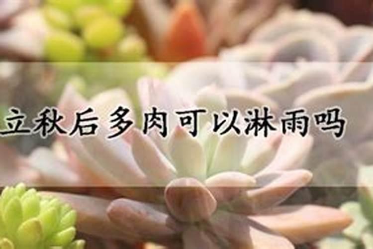 玉米氮肥过多的危害,附各个阶段的需肥量