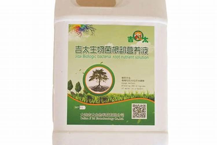小白菜用什么肥料最好