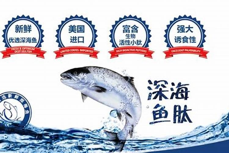 红豆怎么种成盆栽