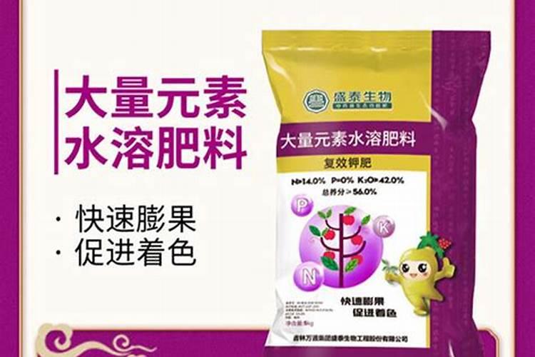 如何进行组织培养