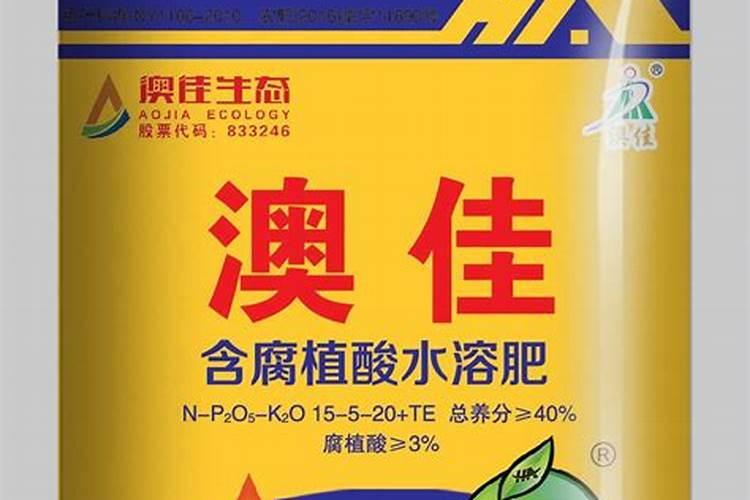 盆栽多肉植物施什么肥 该如何施肥