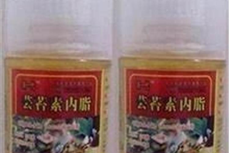 黑豆能做花肥吗 黑豆可以当肥料养花吗