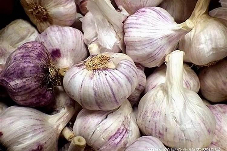 微量元素肥料有哪些 微量元素肥料有什么作用