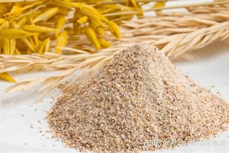 植物枝干挺拔施肥(想要枝干粗壮用什么肥料)