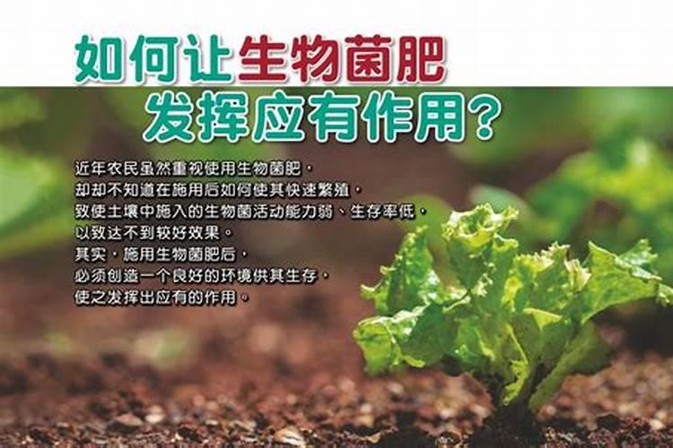 水稻田施肥后几天能排水？