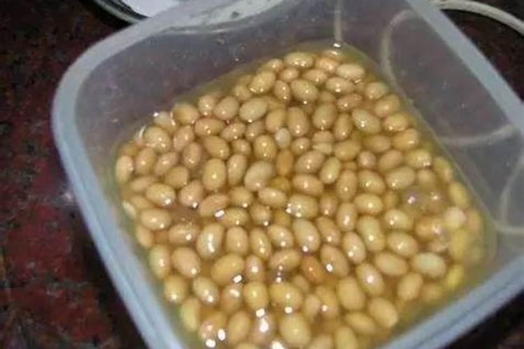 番茄开花期间用什么样的叶面肥比较合适？