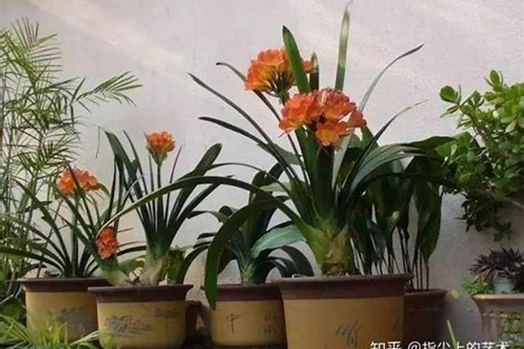坏掉的肉怎么沤肥？