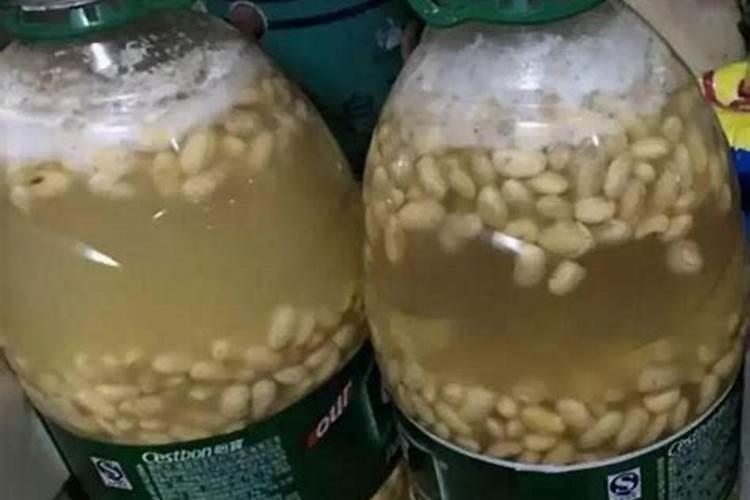 种花一般用什么肥料