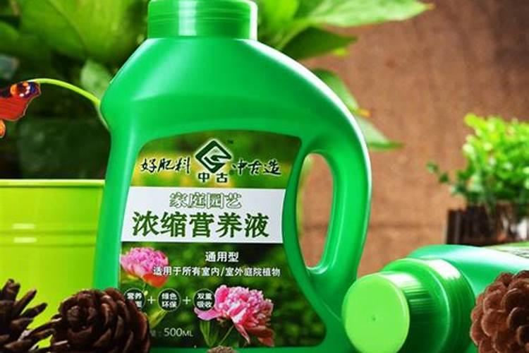 治牙痛有妙招是什么啊