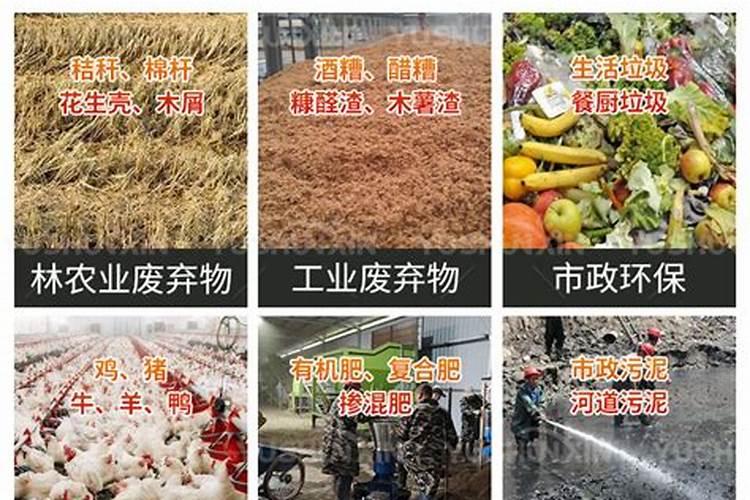 花生皮有什么用途和作用 从哪里可以收集花生皮