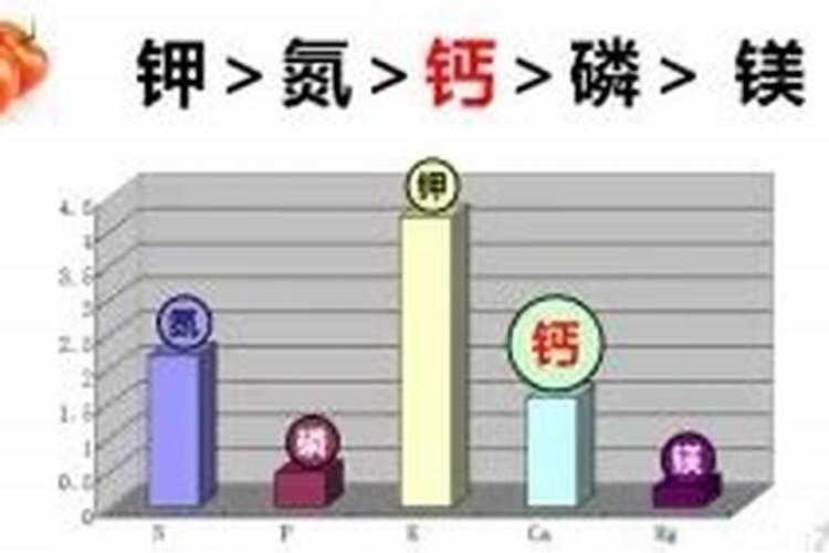辣椒什么时候补钙最好