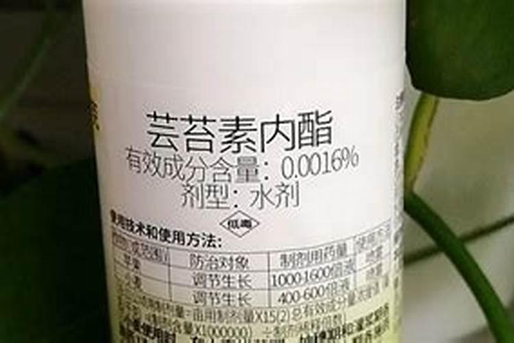 有高血压、高血脂的人群可以食用鱼胶吗？