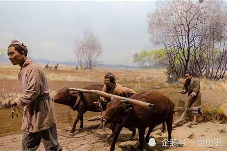 磷肥过量怎么补救