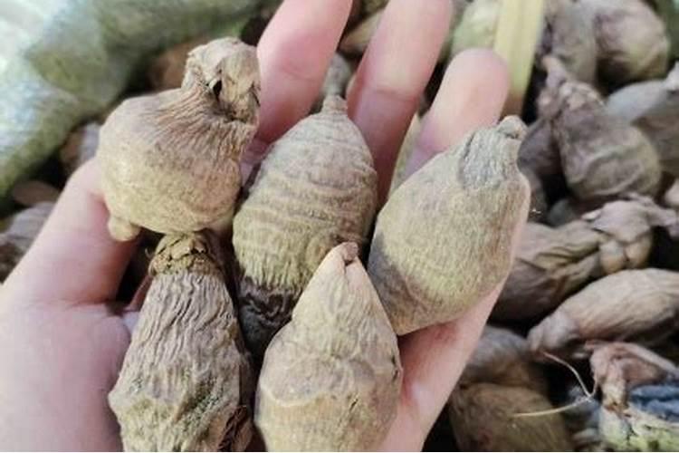 花生饼发酵晒干后可以做底肥吗‘？