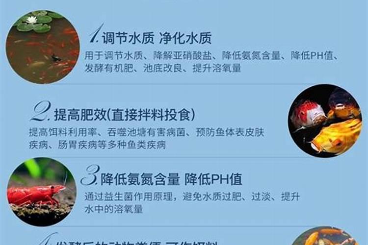 种植甘蓝不结球是哪些原因造成的？如何防治甘蓝不结球现象？