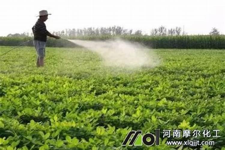 市场上真的有不用化肥不打农药的菜吗？如何区别？