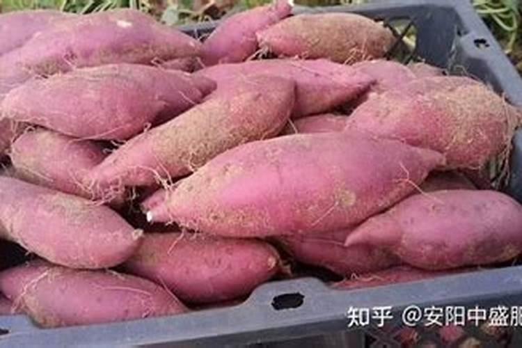 ...用什么解药,药打过,知道打错了,用排毒解害康和天丰素