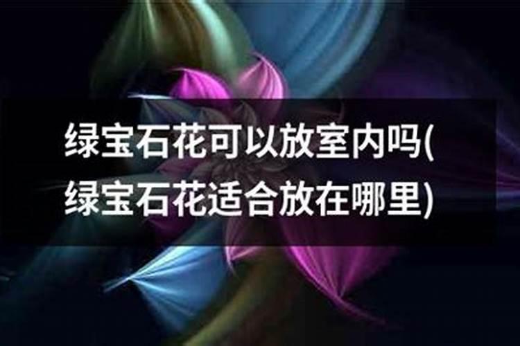 绿宝石花卉应施什么肥