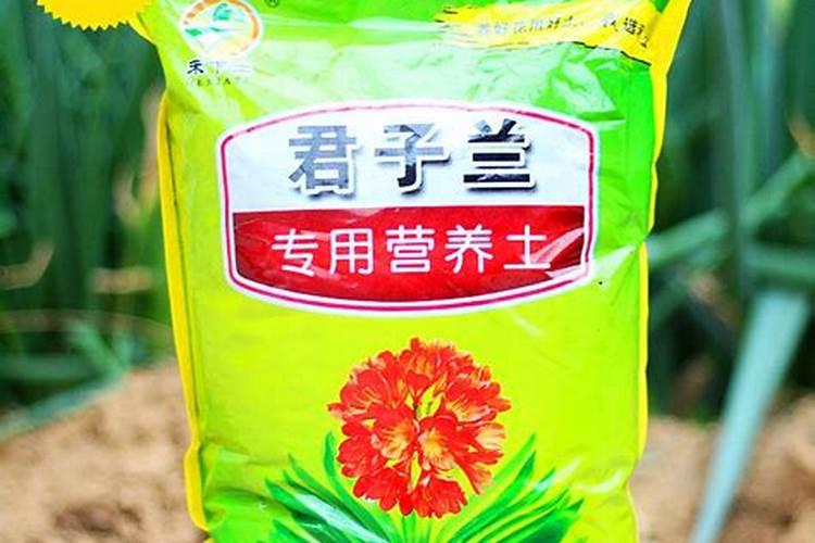 康乃馨用什么肥料
