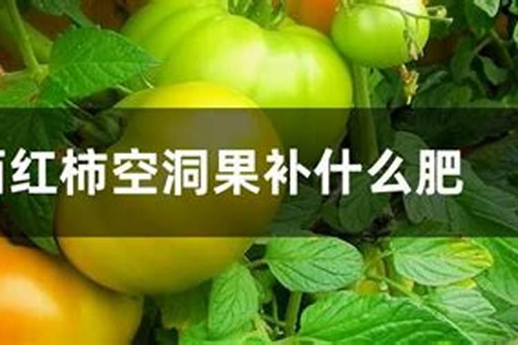 哪种叶面用的钙肥吸收好