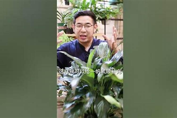草莓高钾肥的使用方法