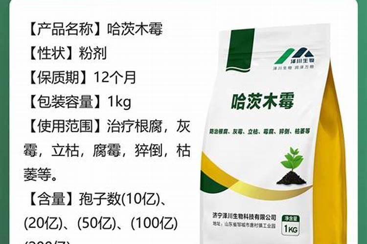 冬枣树开花时得了莓灰病怎样冶？