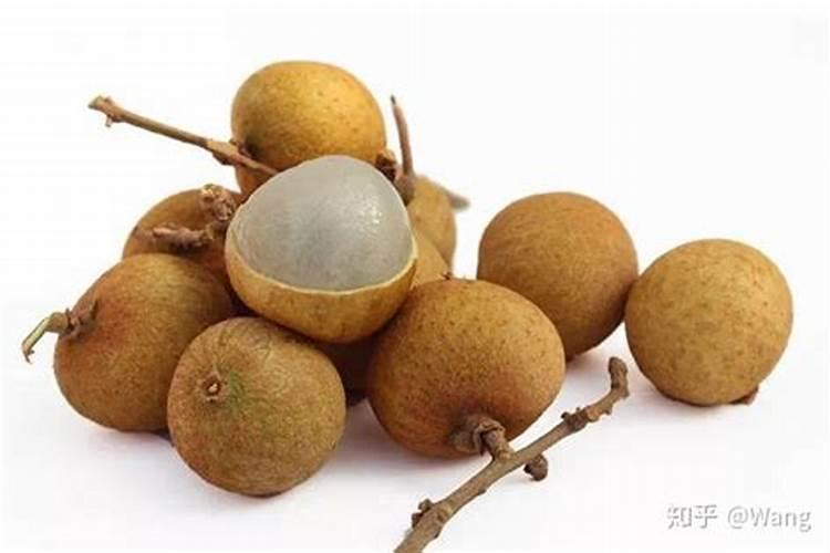 干桂圆壳是属于什么垃圾