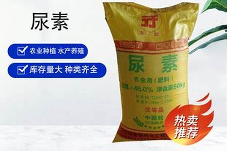 如何用磷酸二氢钾肥来养护绿植