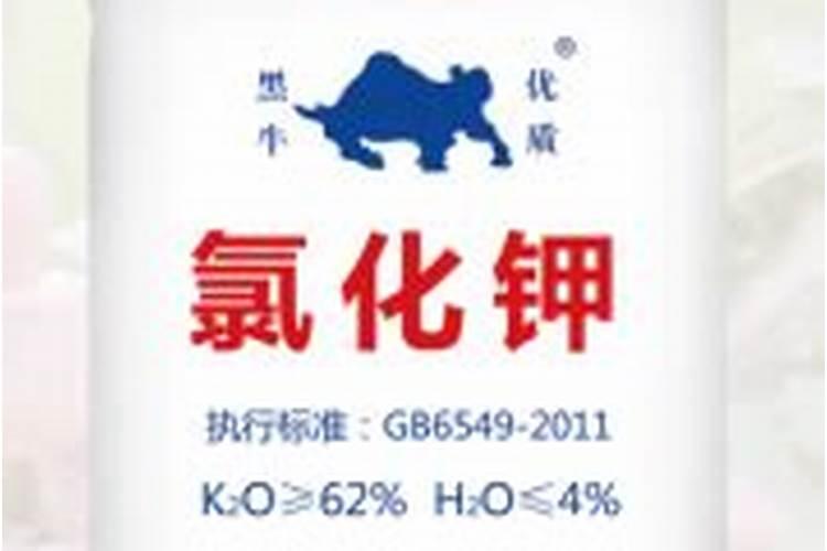 青海省钾肥公司是国企么？