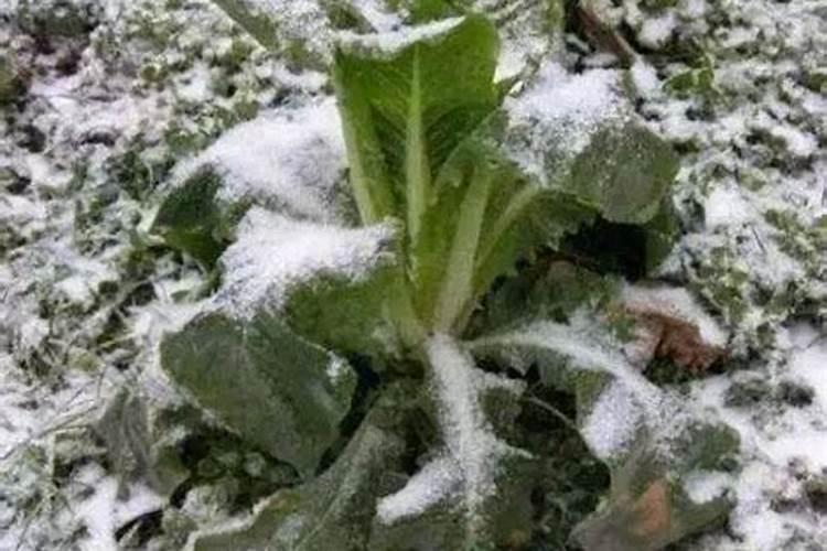 钾肥磷肥氮肥的作用