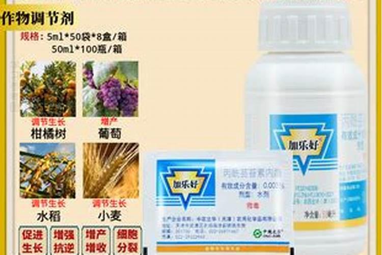 郁金香怎么浇水郁金香怎么浇水郁金香种球期间怎么浇水