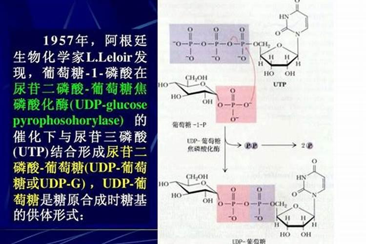 淀粉是如何一步步分解成为化肥的？
