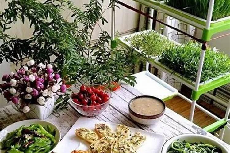 黄豆叶面肥什么时打合适,喷药有什么技巧