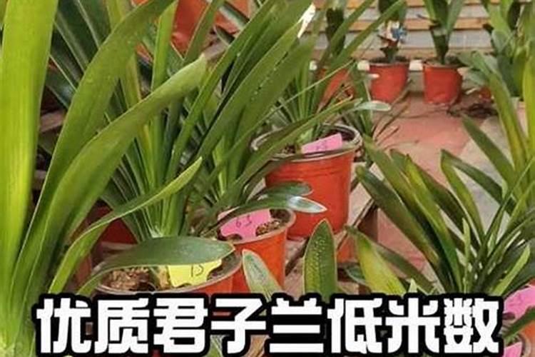 氯化铵是用来做什么用的？