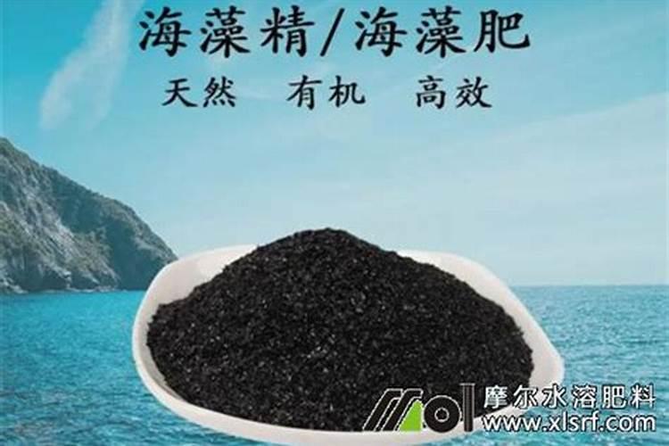 玉米在什么时期追钾肥,钾肥的正确使用方法