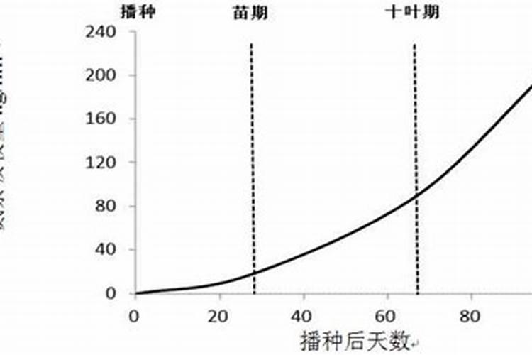 兰花花肥用什么合适 肥料制作与使用方法