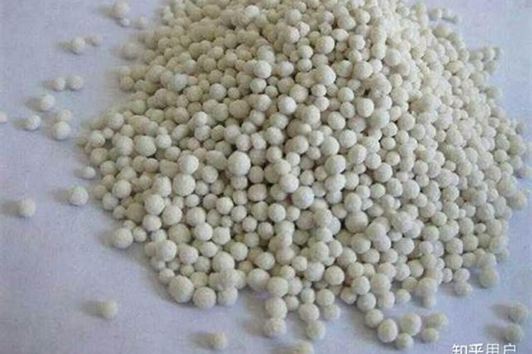 为什么给植物施用有机肥可以为植物生命活动提供二氧化碳？