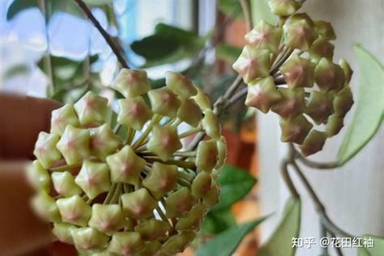 临邑蓝力生物这个厂怎么样啊