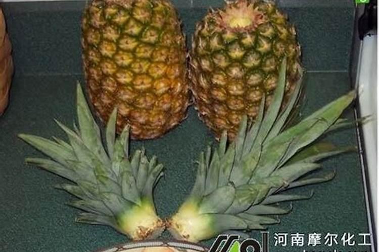 如何制作和使用氮肥