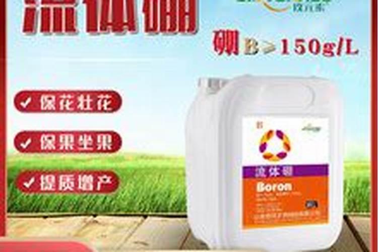 葳蕤的栽培技术