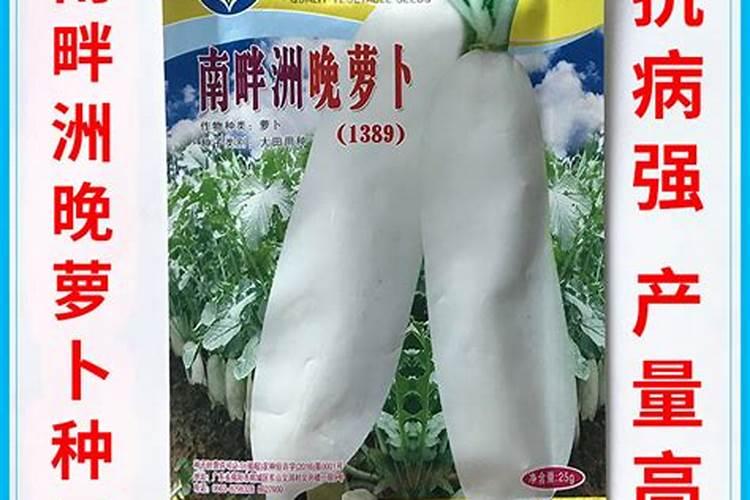 种萝卜用什么肥料最好