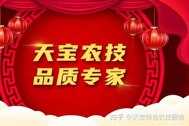 如何避免杜鹃花的病虫害