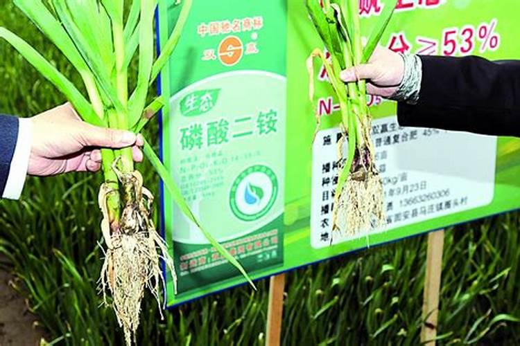 什么是晶体二铵与普通磷酸二铵的区别