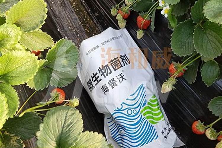 肥力高的使用方法